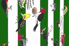 12 Twelve Woodpeckers Pecking (Tree Drums)